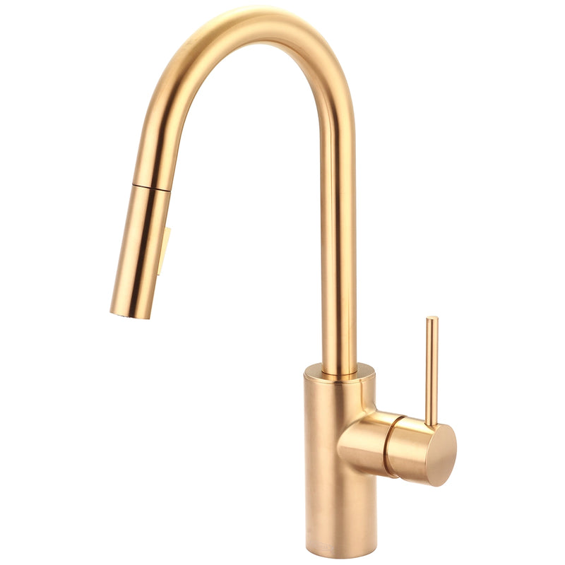 Pioneer Industries - Motegi Collection - Single Handle Pull-Down Kitchen Faucet (2MT260)